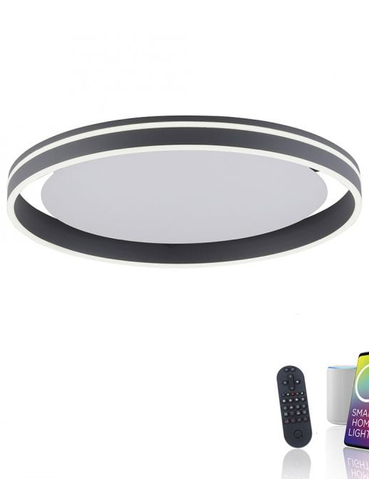 Plafonnier Paul Neuhaus smart home Q-Vito 38w CCT,anthracite – Image 3