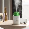 Humidificateur Kelys Cactus – Image 2