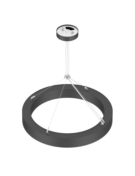 SUSPENSION CIRCLE – Image 3