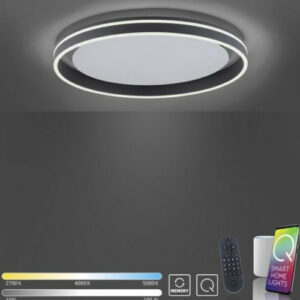 Plafonnier Paul Neuhaus smart home Q-Vito 38w CCT,anthracite