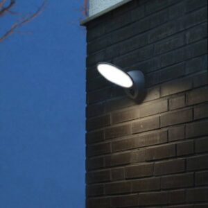 Applique d'Extérieur LED TONA à Détecteur de Présence Anthracite