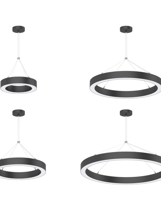 SUSPENSION CIRCLE – Image 2