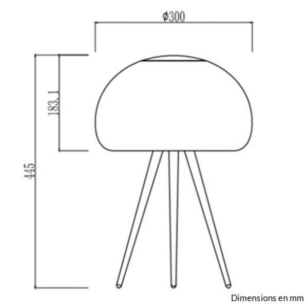 Lampe à poser WALLY en bois naturel et verre fumé – Image 3