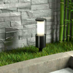 SPOT SUR PIQUET CARLO