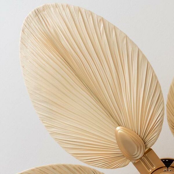 BRASSEUR D'AIR PALM – Image 6