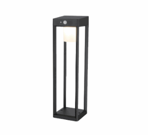 ÉCLAIRAGE PIR SOLAIRE