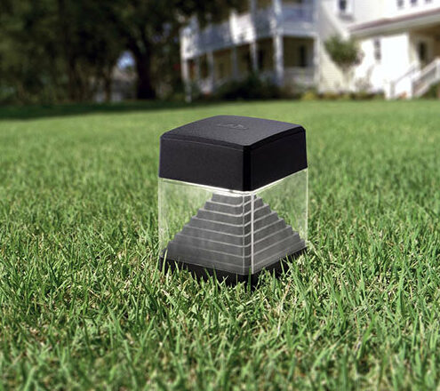 SPOT SUR PIQUET ESTER