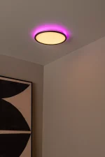 CASTOR - Plafonnier - Ø 32 cm - LED Dim. - CCT - 1x20W 2700K/6500K - Rvb - Opalin – Image 4