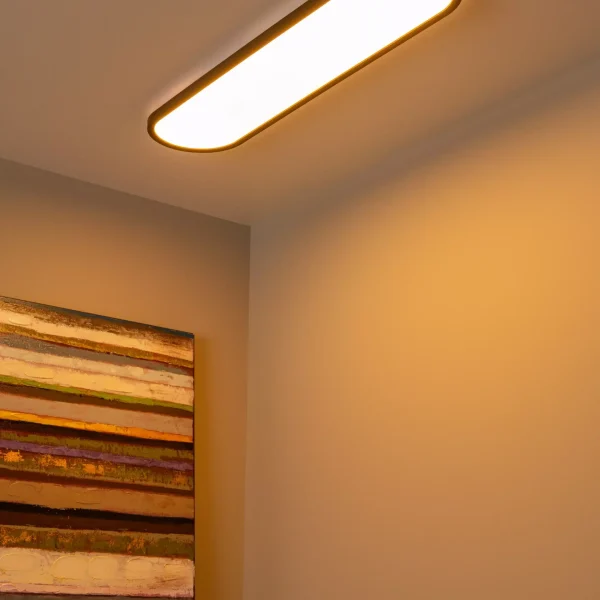 ELLY - Plafonnier - LED Dim. - CCT - 1x36W 2700K/4000K - Opalin | Essential