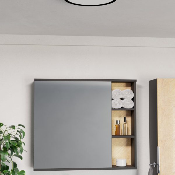 Plafonnier led circulaire Eglo Fueva 16w CCT IP44,noir